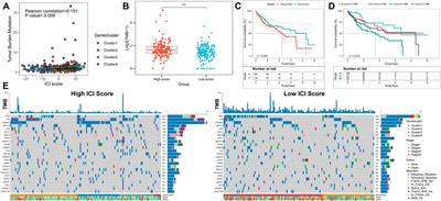 Identification of the Immune Cell Infiltration Landscape in Hepatocellular Carcinoma to Predict Prognosis and Guide Immunotherapy